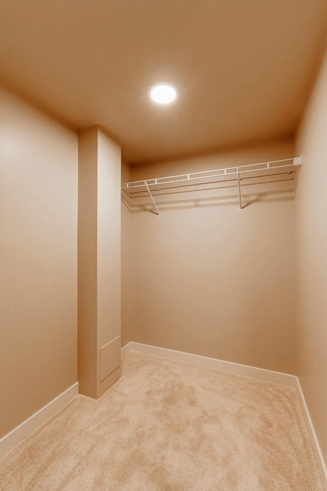 The bedroom's walk-in closet with a hanging rail and shelf