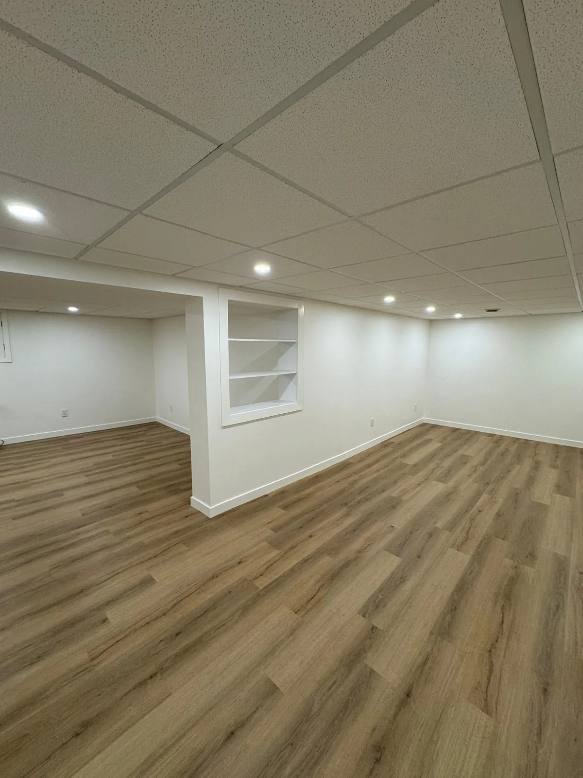 Corner of the rec room, niche shelving lit from the ceiling above