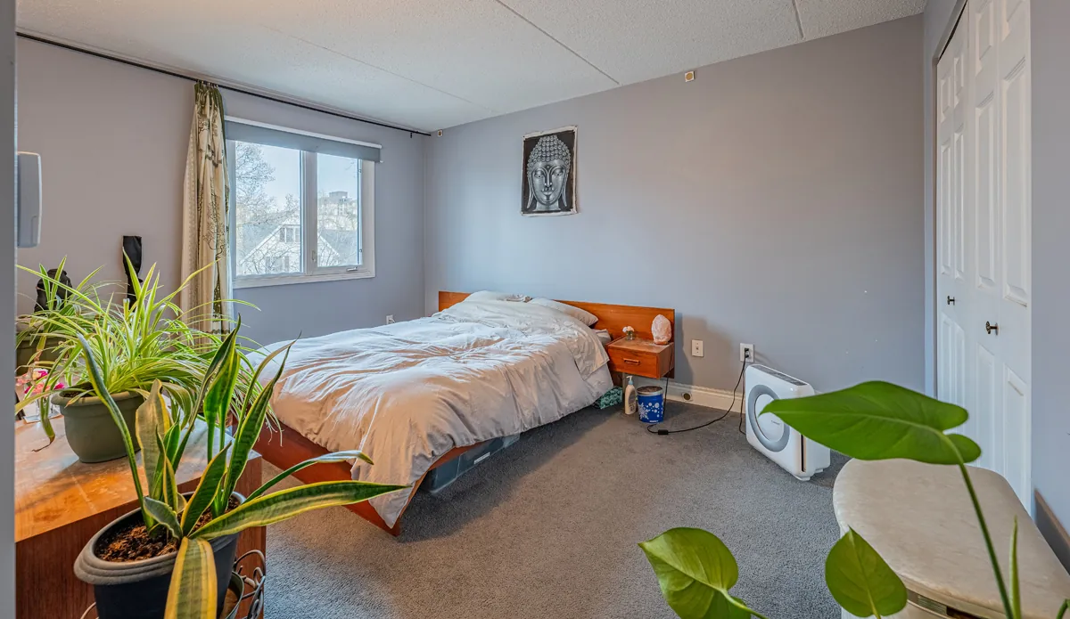 Before: the carpeted bedroom with its window onto the trees
