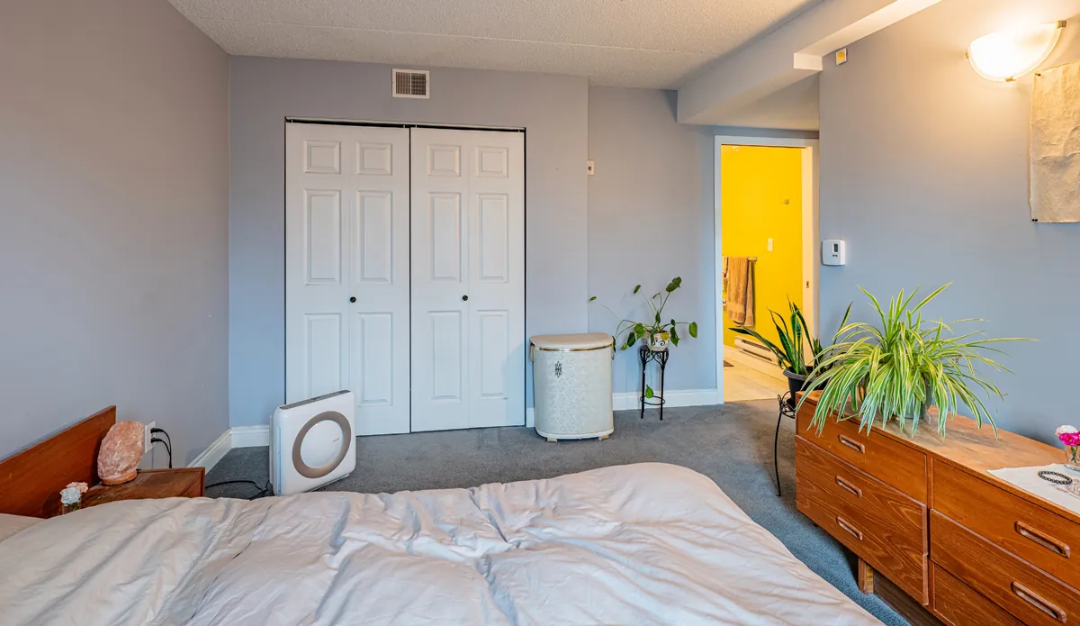 Before: the bedroom's double closet