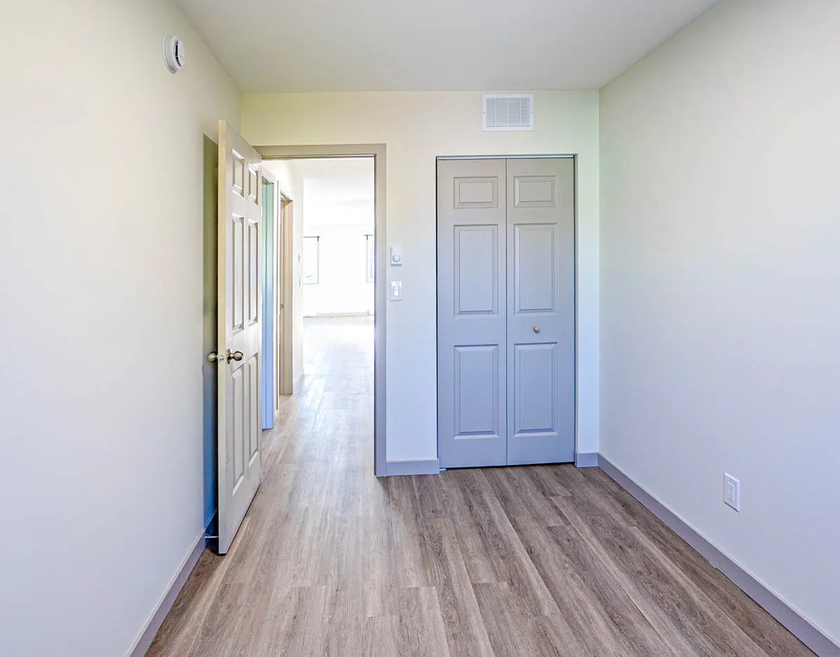 Bedroom doorway and closet, the hall beyond