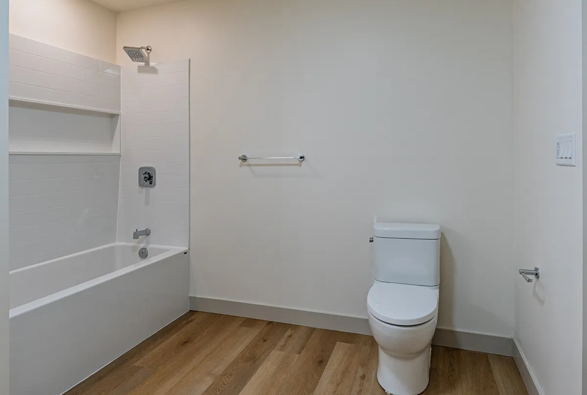 The basement bathroom, a tub-shower and toilet on a plank floor